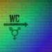 Transsexuais ainda sofrem transfobia por falta de acesso a banheiros públicos