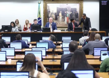Comissão da Câmara aprova aumento de pena para aliciamento de crianças na internet